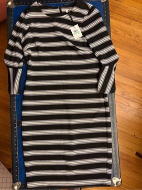 Calvin Klein Black and White Striped Midi Dress
